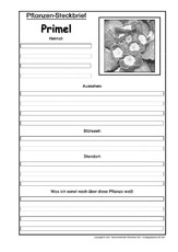 Pflanzensteckbrief-Primel-SW.pdf